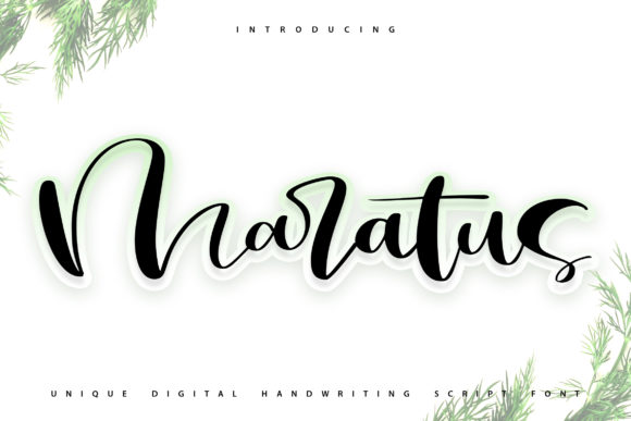 Maratus: A Deep Dive into Versatility and Handwritten Character